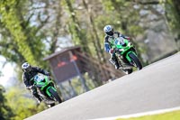 Oulton-Park-20th-March-2020;PJ-Motorsport-Photography-2020;anglesey;brands-hatch;cadwell-park;croft;donington-park;enduro-digital-images;event-digital-images;eventdigitalimages;mallory;no-limits;oulton-park;peter-wileman-photography;racing-digital-images;silverstone;snetterton;trackday-digital-images;trackday-photos;vmcc-banbury-run;welsh-2-day-enduro